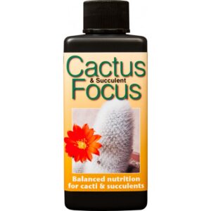 Growth Technology - Cactus Focus