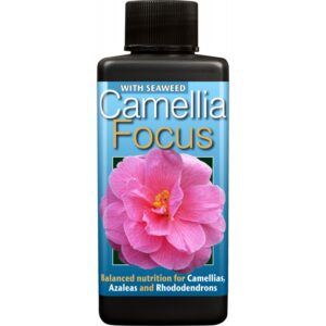 Growth Technology - Camellia Focus