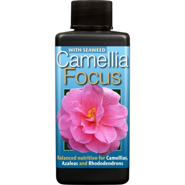 29250_growth-technology-camellia-focus-ruzny-objem.jpg