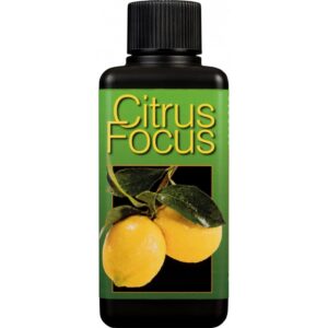 Growth Technology - Citrus Focus