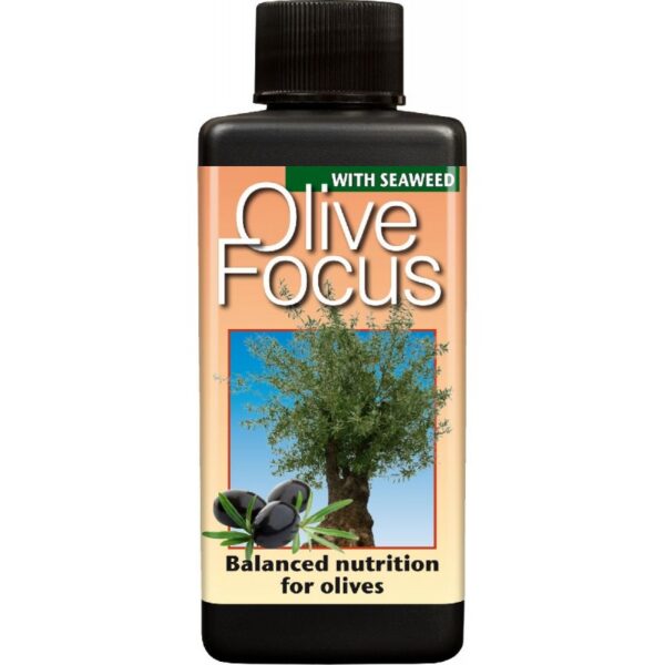 29652_growth-technology-olive-focus-ruzny-objem.jpg