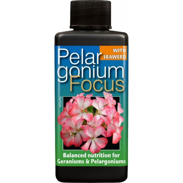 29700_growth-technology-pelargonium-geranium-focus-ruzny-objem.jpg
