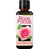Growth Technology - Rose Focus
