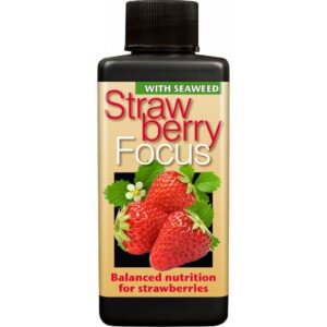 Growth Technology - Strawberry Focus