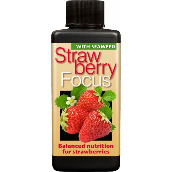 29805_growth-technology-strawberry-focus-ruzny-objem.jpg