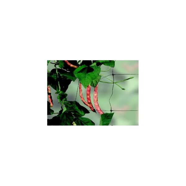 30204_podpurna-sit-delka-1-2-x-5-m-velikost-oka-12-x-12-cm
