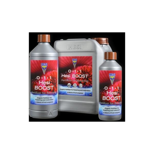 31389_hesi-boost-1l