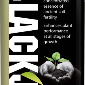 Growth Technology - BlackJak