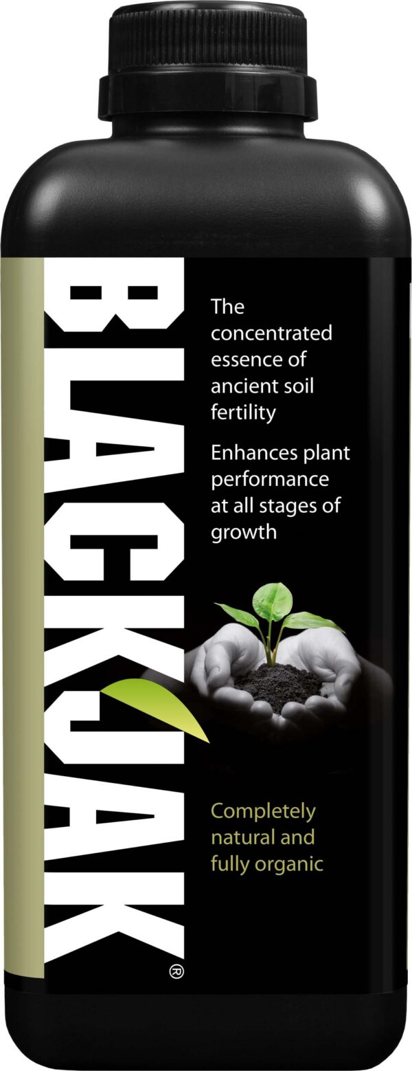 31497_growth-technology-blackjak-ruzny-objem.jpg