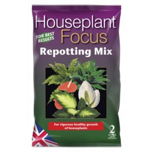 Growth Technology - Houseplant Focus Repotting Mix