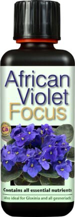 Growth Technology - African Violet Focus