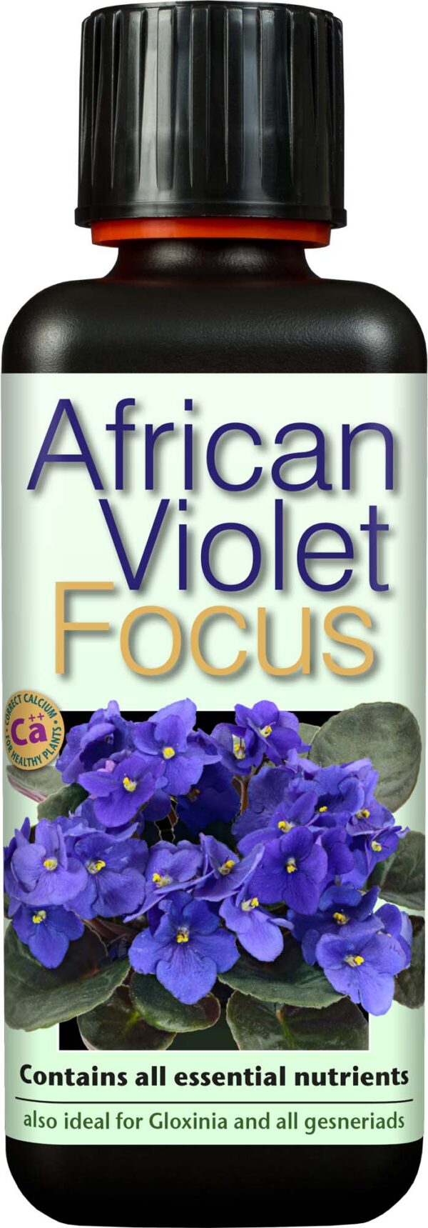 31602-2_growth-technology-african-violet-focus-300ml