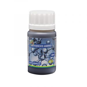 Advanced Amino