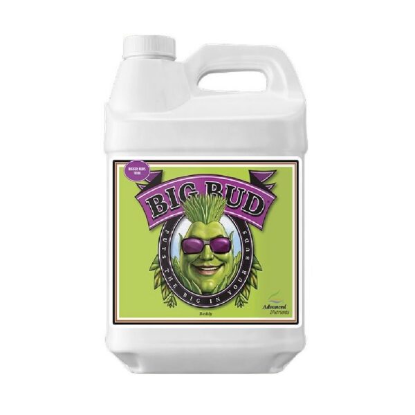 35447_big-bud