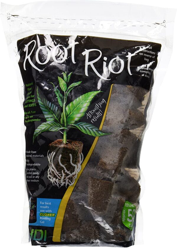 35804_rr50