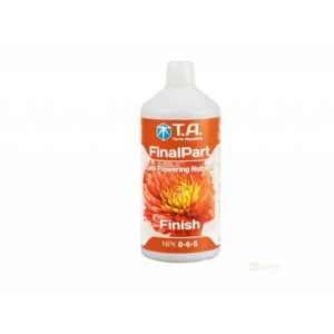 T.A. FinalPart