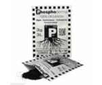Phosphoderma, 3g