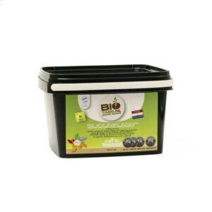 Biotabs Silicium Flash