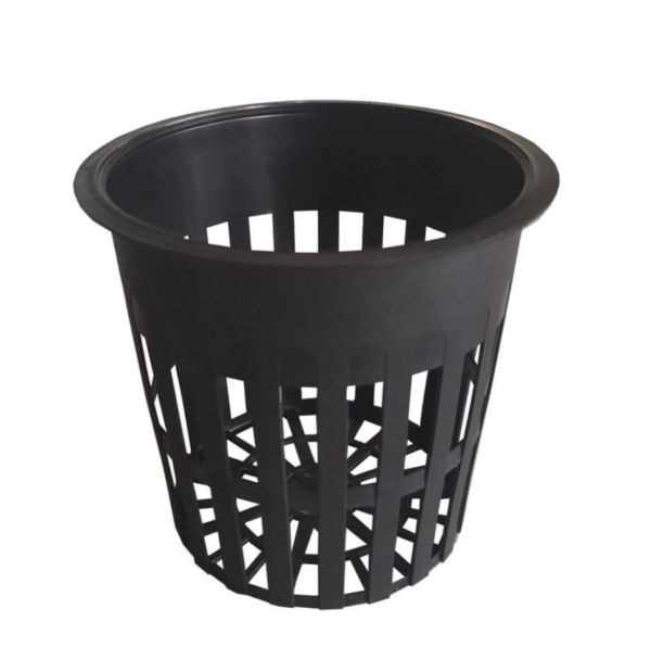 37941_10cm-fi