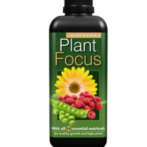 Growth Technology - Plant Focus
